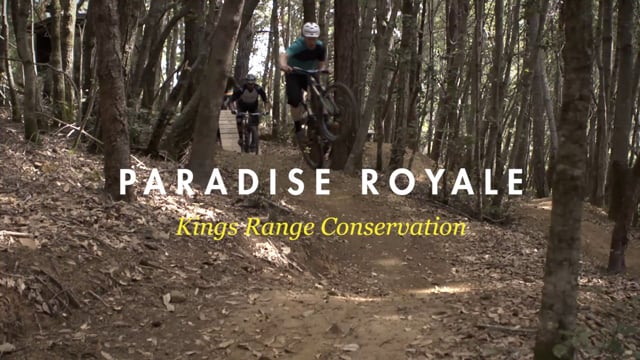 Searching for Bigfoot - Trail Hunting in California's Humbolt County