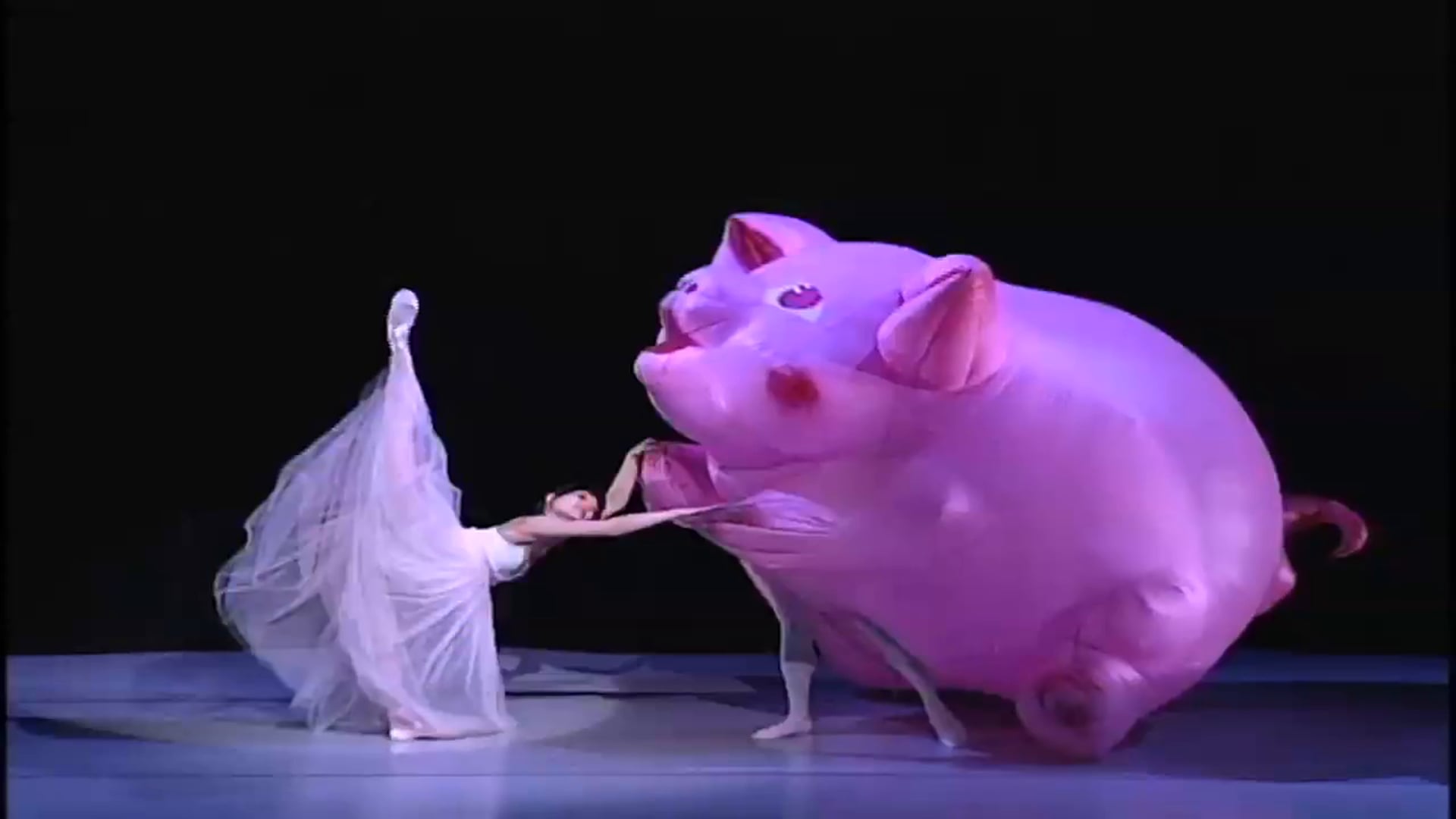 The Pig (2007)