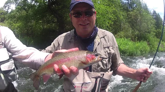 Video: Fly Fishing the Pit River in California at Clearwater Lodge – The  Venturing Angler