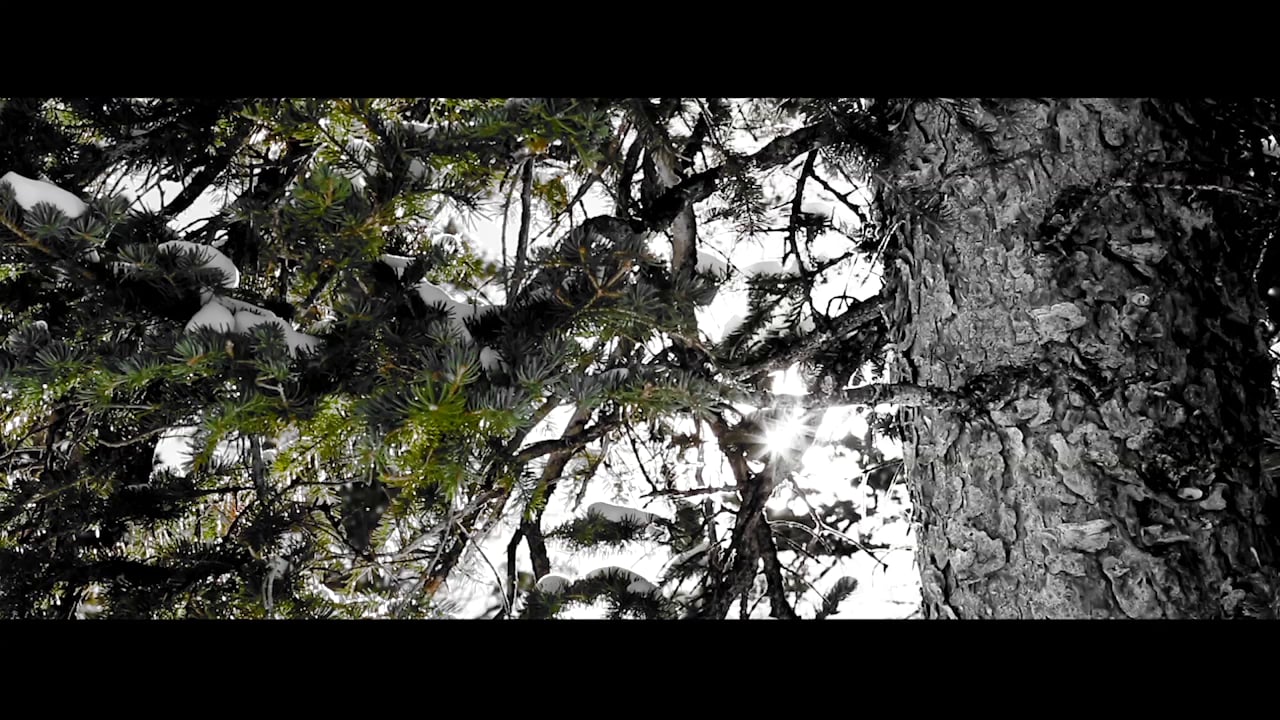 Amy Purdy DWTS Video