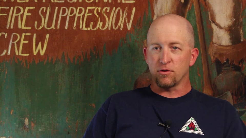 The Role of Fire in the Environment