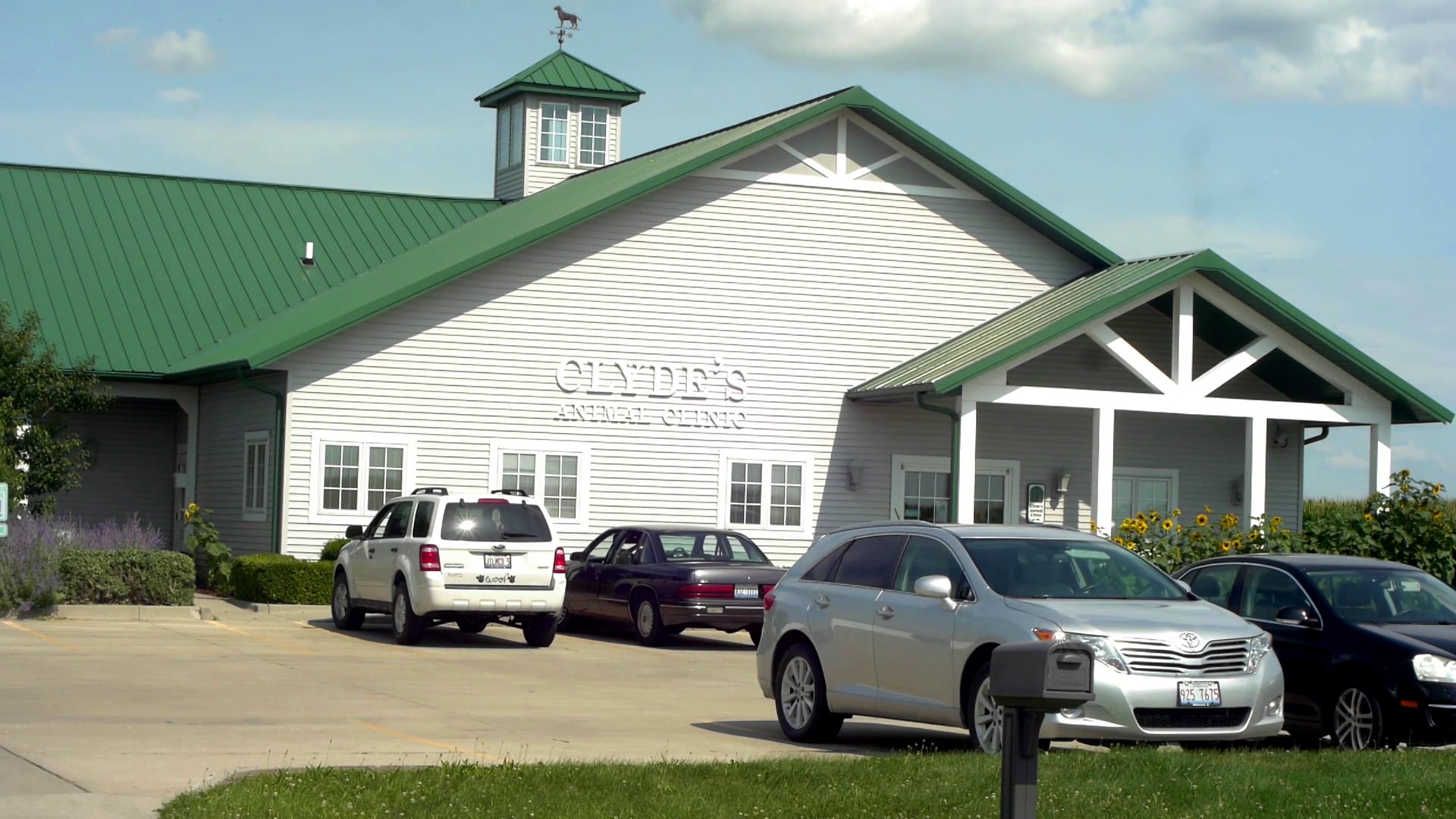 to Clyde's Animal Clinic on Vimeo