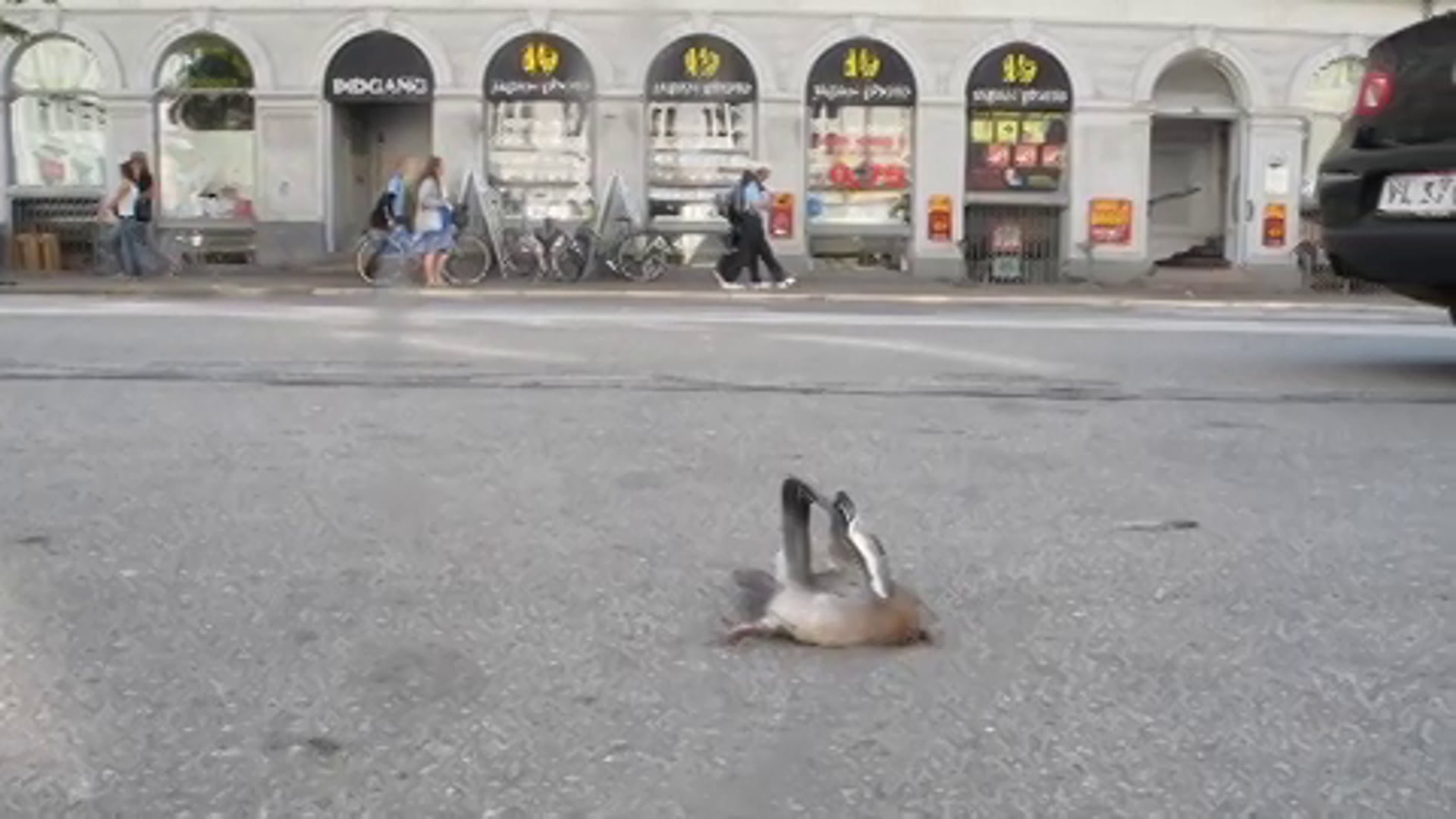 urbanbird curating The Future