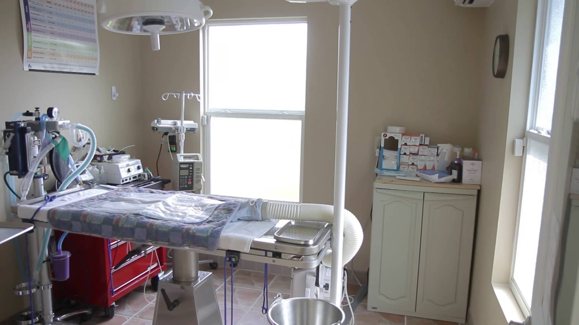 to Animal House Veterinary Clinic on Vimeo