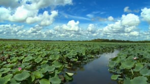 Science on floodplains