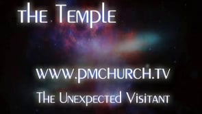 The Unexpected Visitant