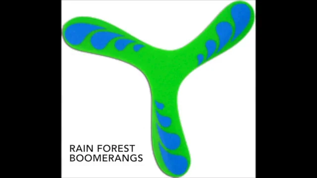  Fun Easy to Throw Boomerang for Kids - It Really Does