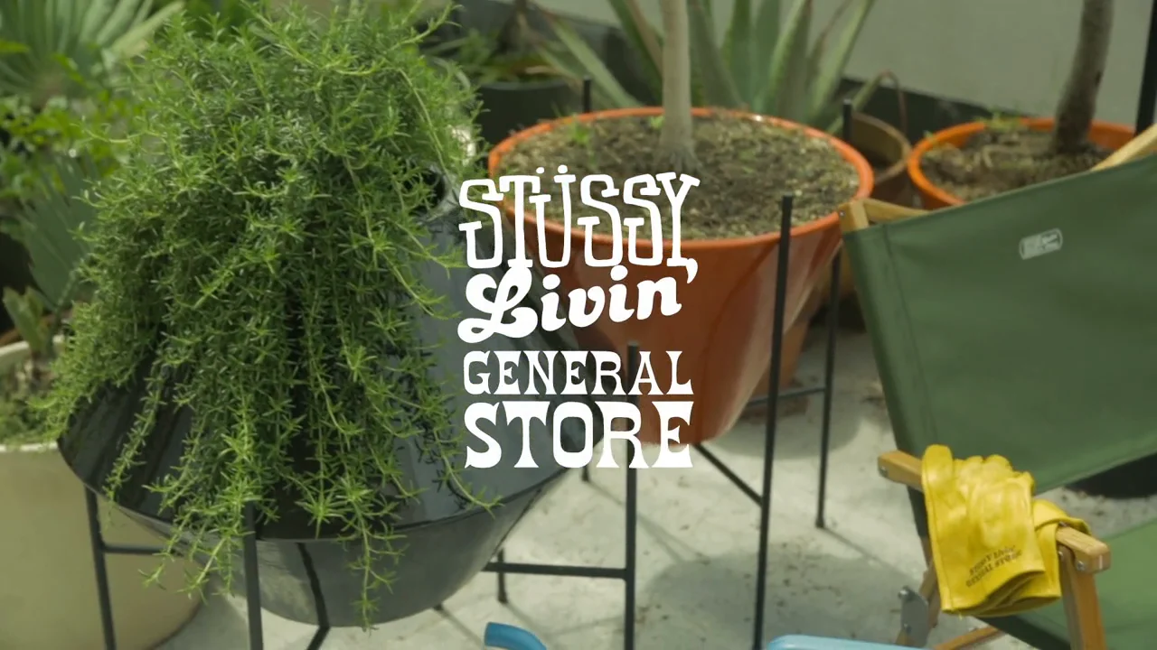 STUSSY Livin' General Store Money FOLDA‼︎-