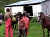 Video Journal #5: Horseback Riding to the Serka Glacier
