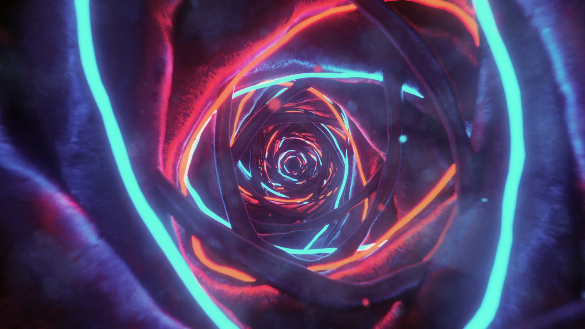 warm neon birth