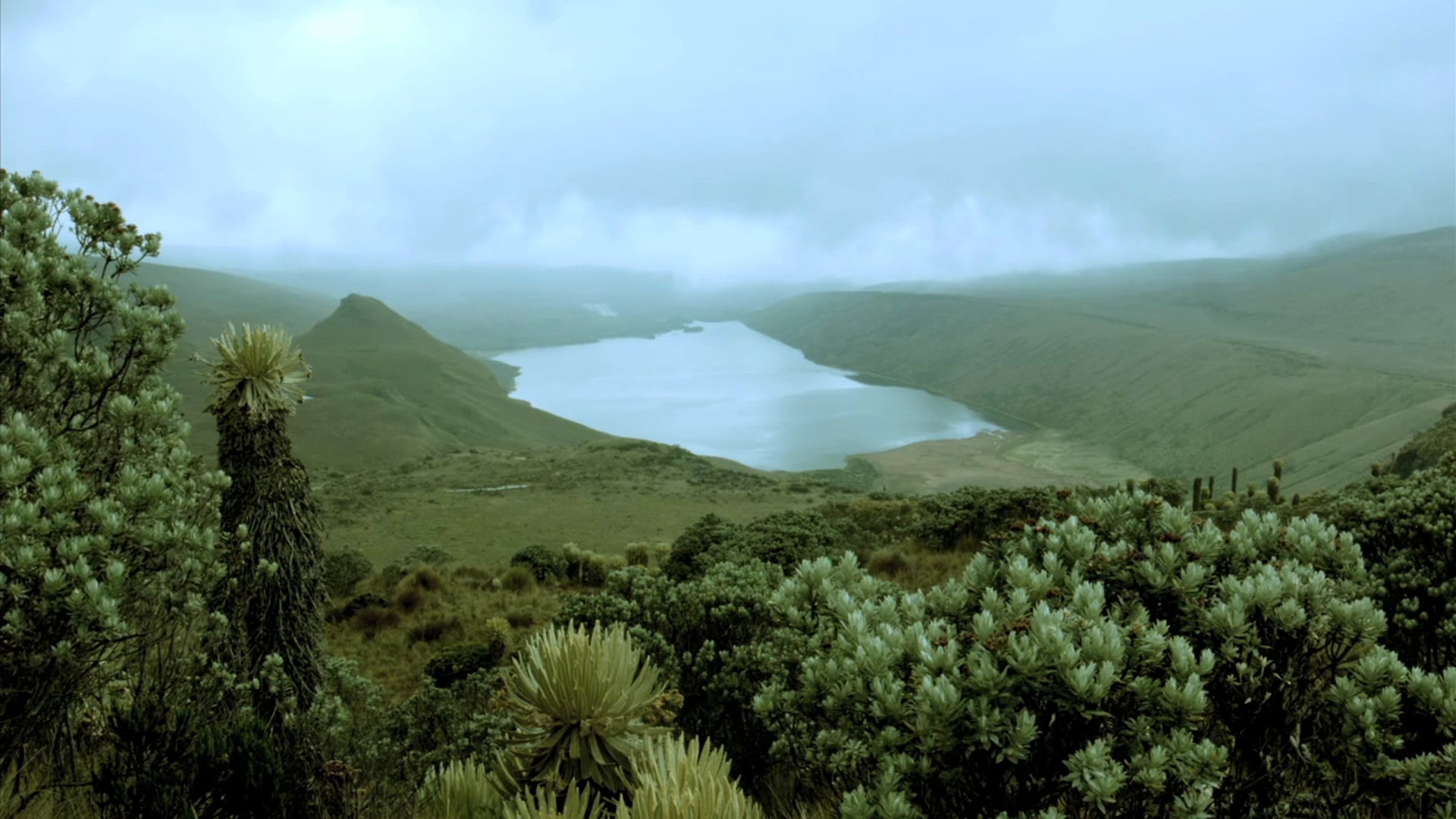 SINFONÍA DEL RÍO OTÚN