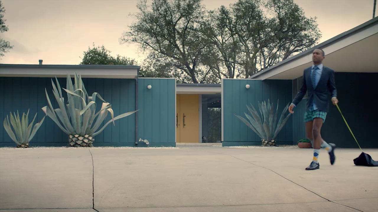 Мужчина выгуливает собаку. Nick go for a walk. Nick foles. Картинки a dog for kids. Nick go for a walk.