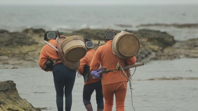 MOVIE「千葉県 房総半島」