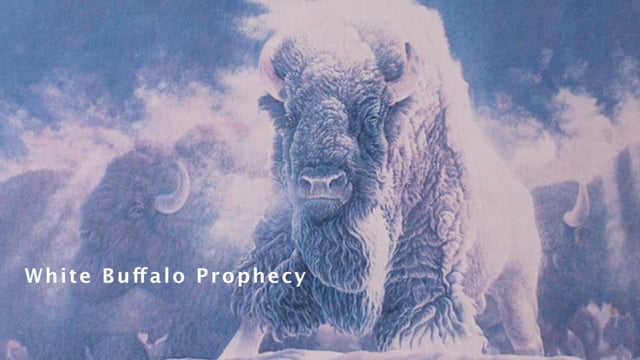 White Buffalo Prophecy