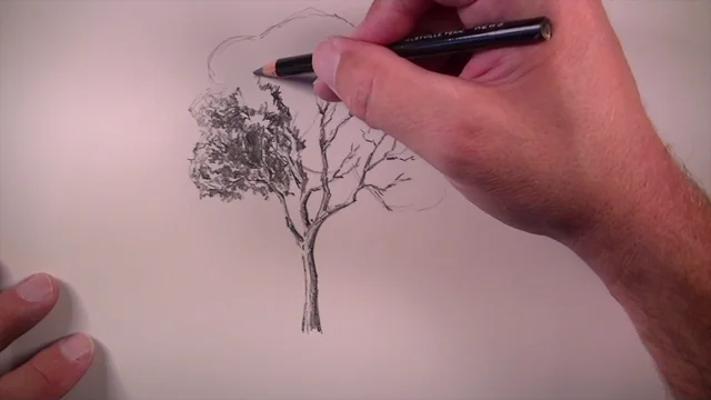 how to draw a realistic tree step by step easy