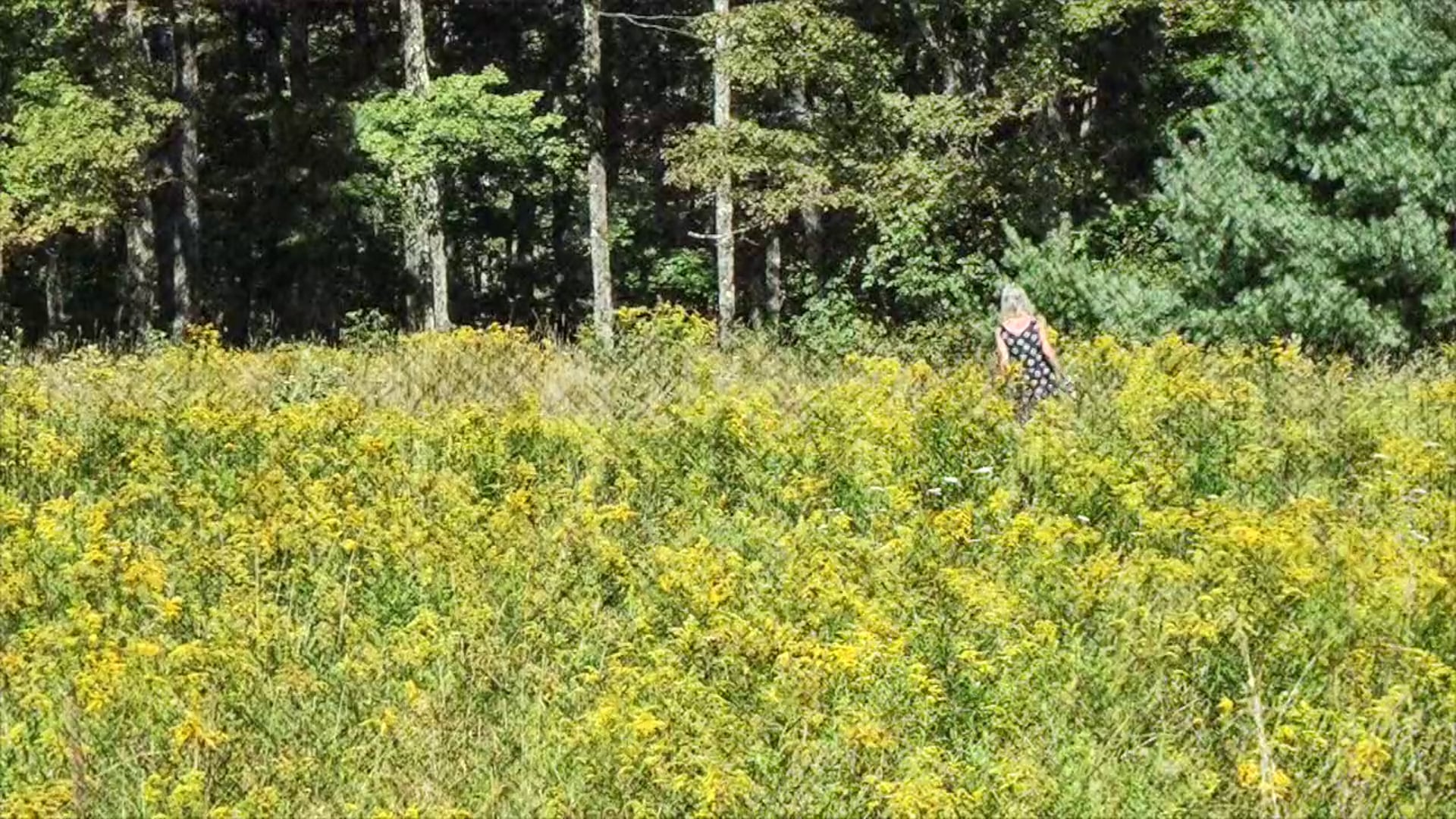 Breathing Invisibilities