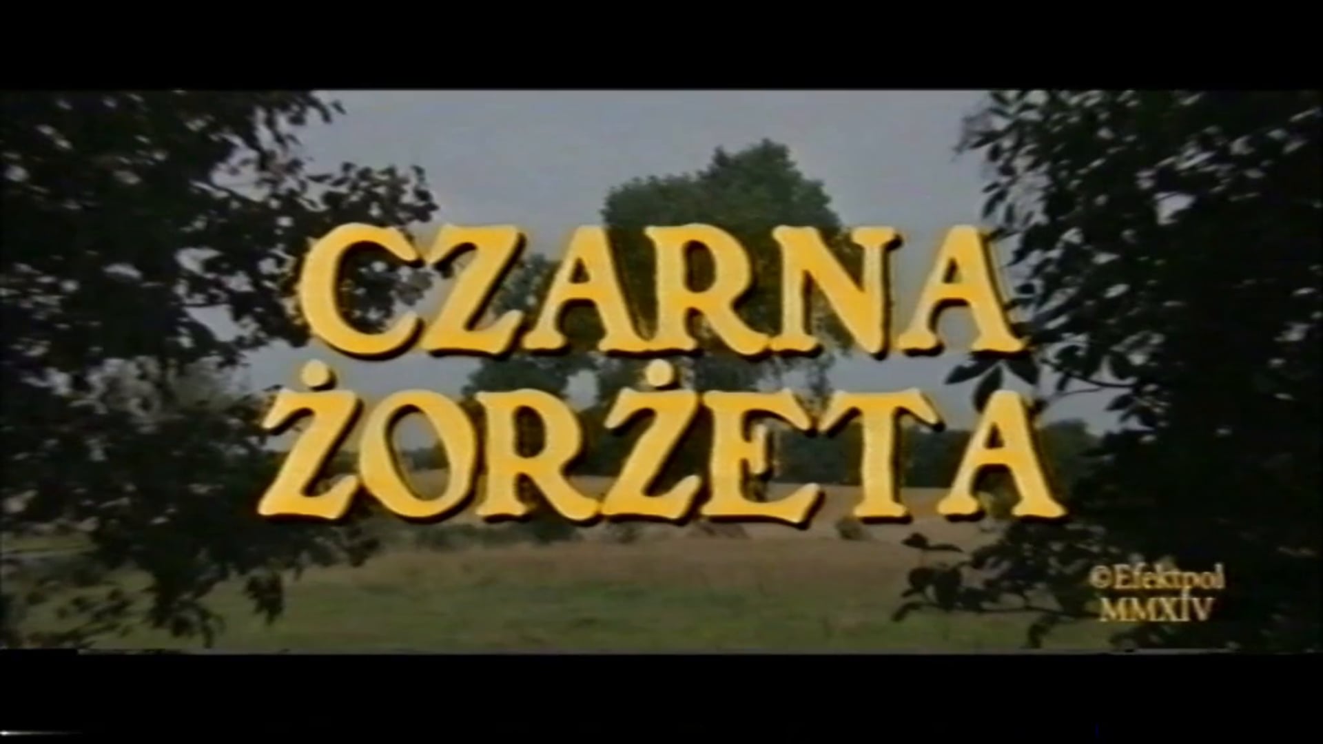 Mister D - "Czarna Żorżeta" dir. Marcin Nowak