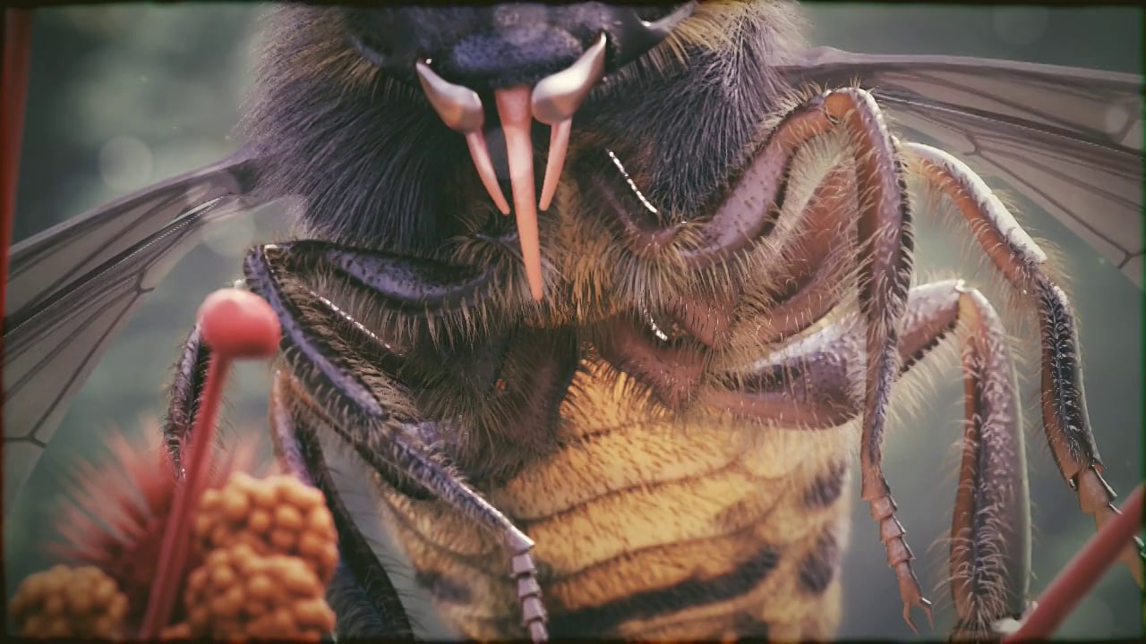 the bee on Vimeo