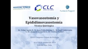 VASOVASOTOMÍA Y EPIDIDIMOVASOSTOMÍA: CIRUGÍA UROLÓGICA MICROQUIRÚRGICA