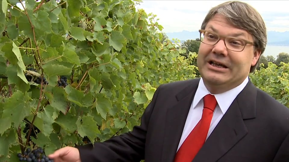 Preview: Master of Wine Philipp Schwander on the 2009 Wine Vintage