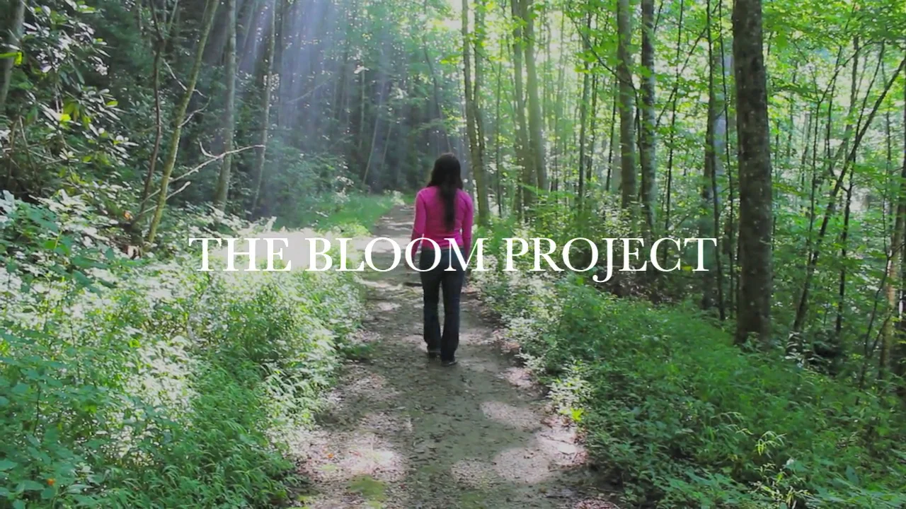 THE BLOOM PROJECT