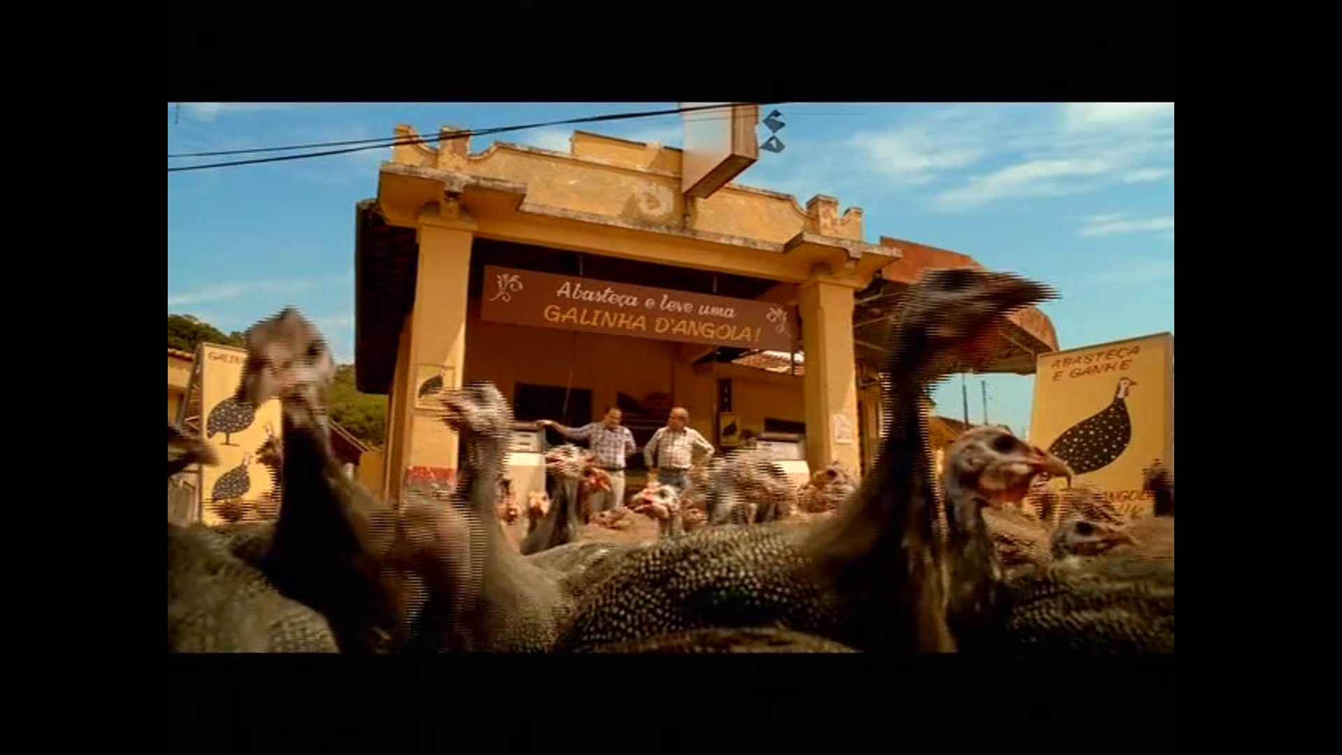 Ipiranga Galinha d'Angola