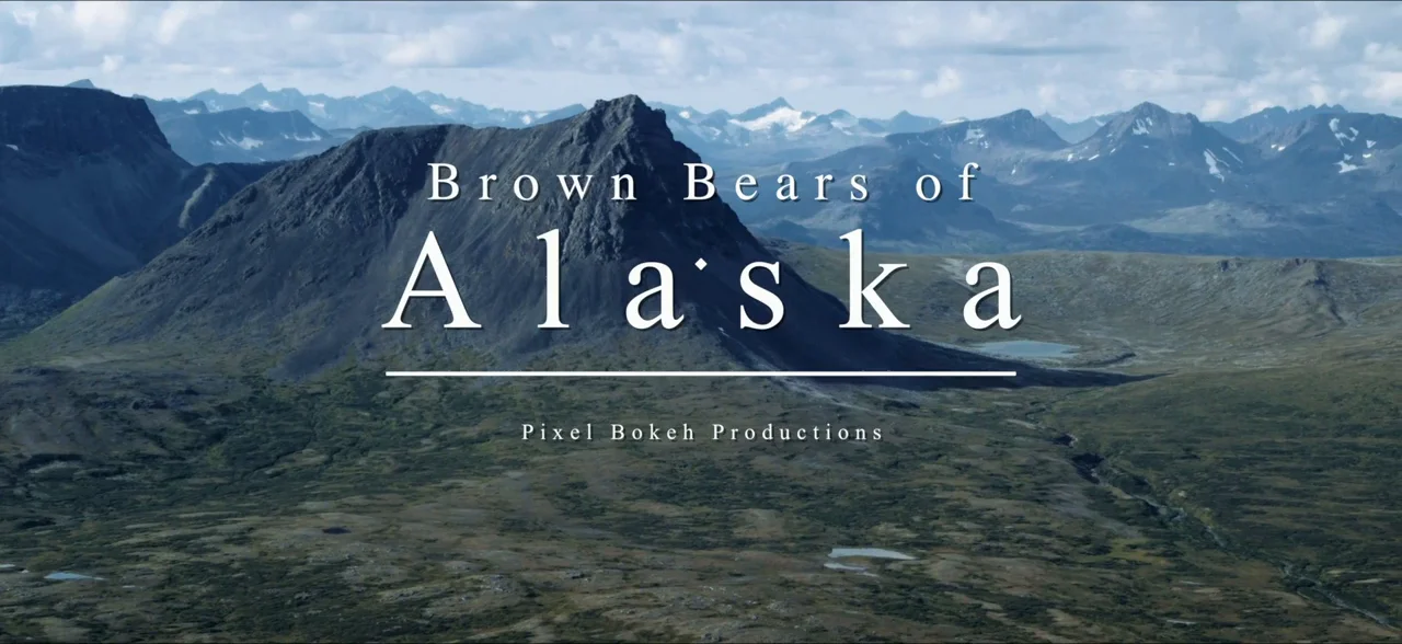 how much are the alaskan browns worth