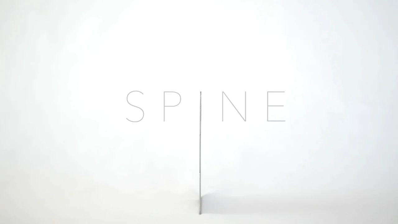 World's Thinnest Wallet – S P I N E World's Thinnest Wallet – S P I N E