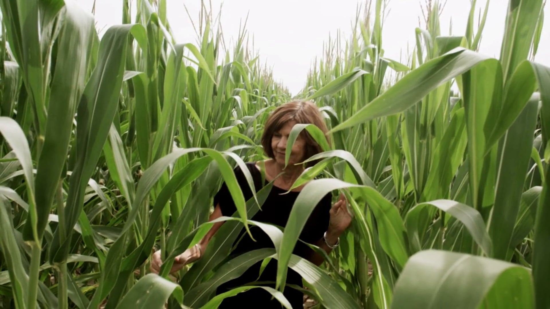 GM Card - Lana Testimonial