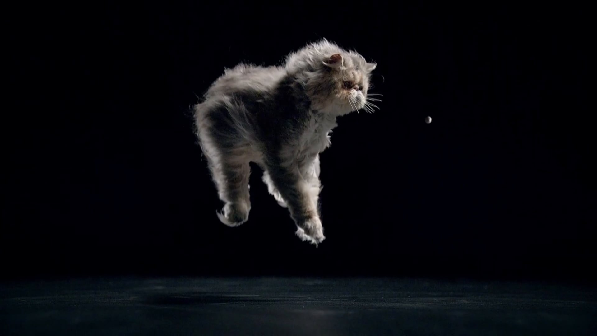 Temptations Tumblers - Time To Play Ball