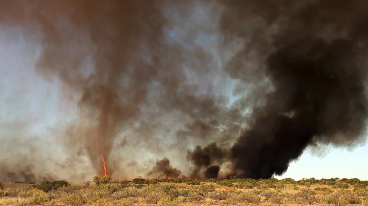 Firenado Australia- WILD vision | Videos & Movies on Vimeo