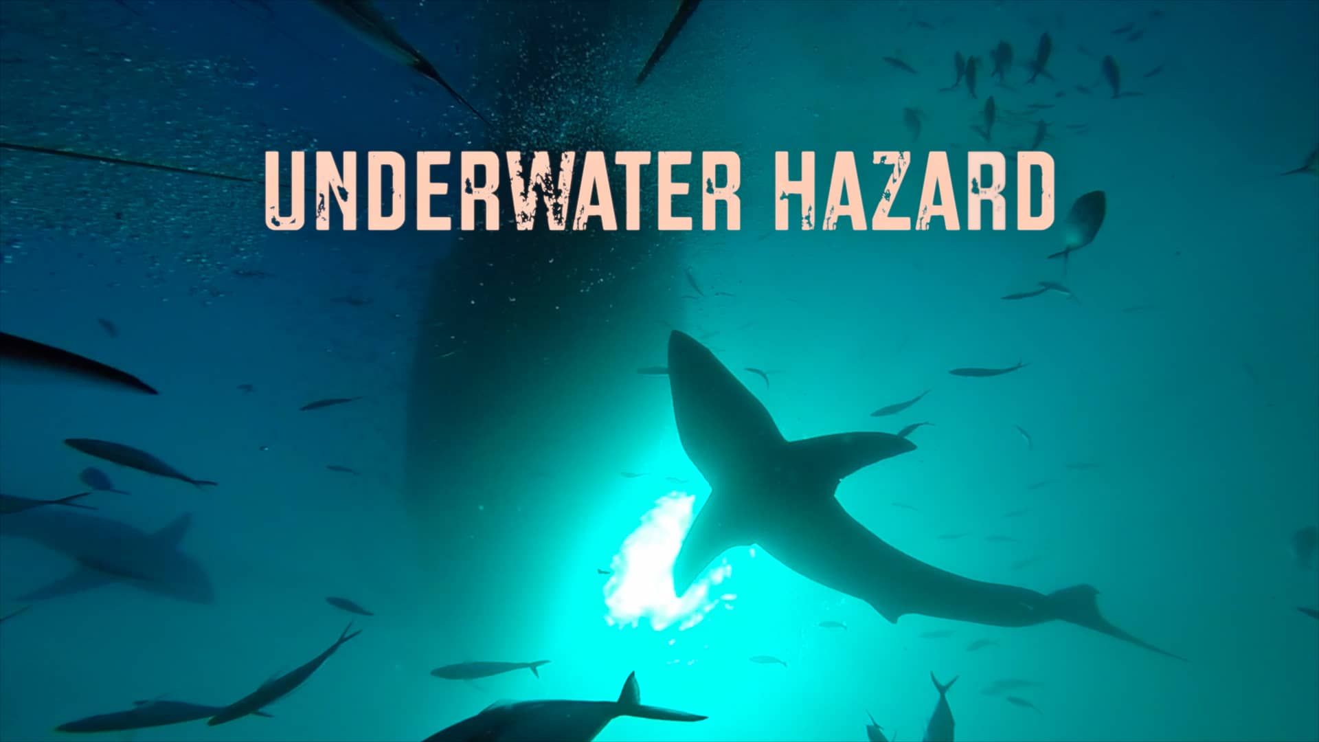 Underwater Hazard on Vimeo