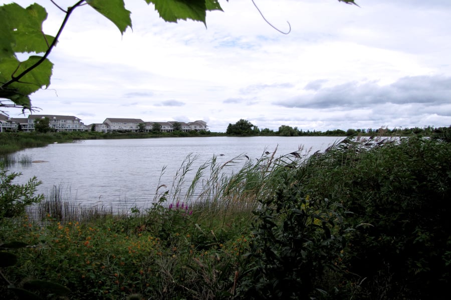 The Boardwalk Collingwood Waterfront Real Estate on Vimeo