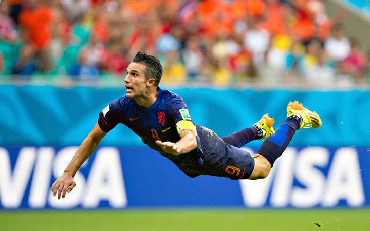 Van Persie 2014