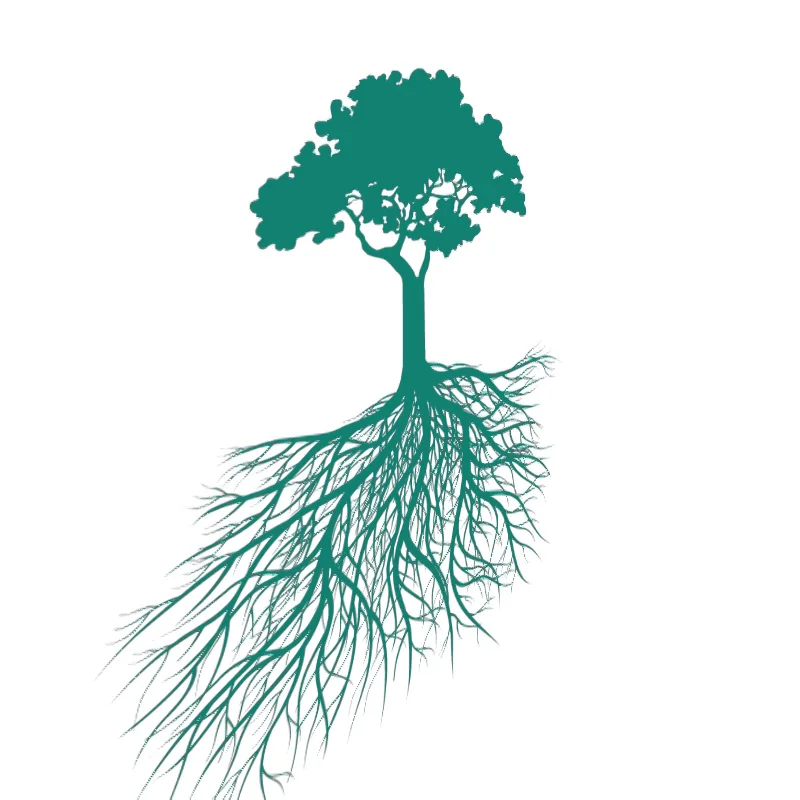tree of knowledge logo