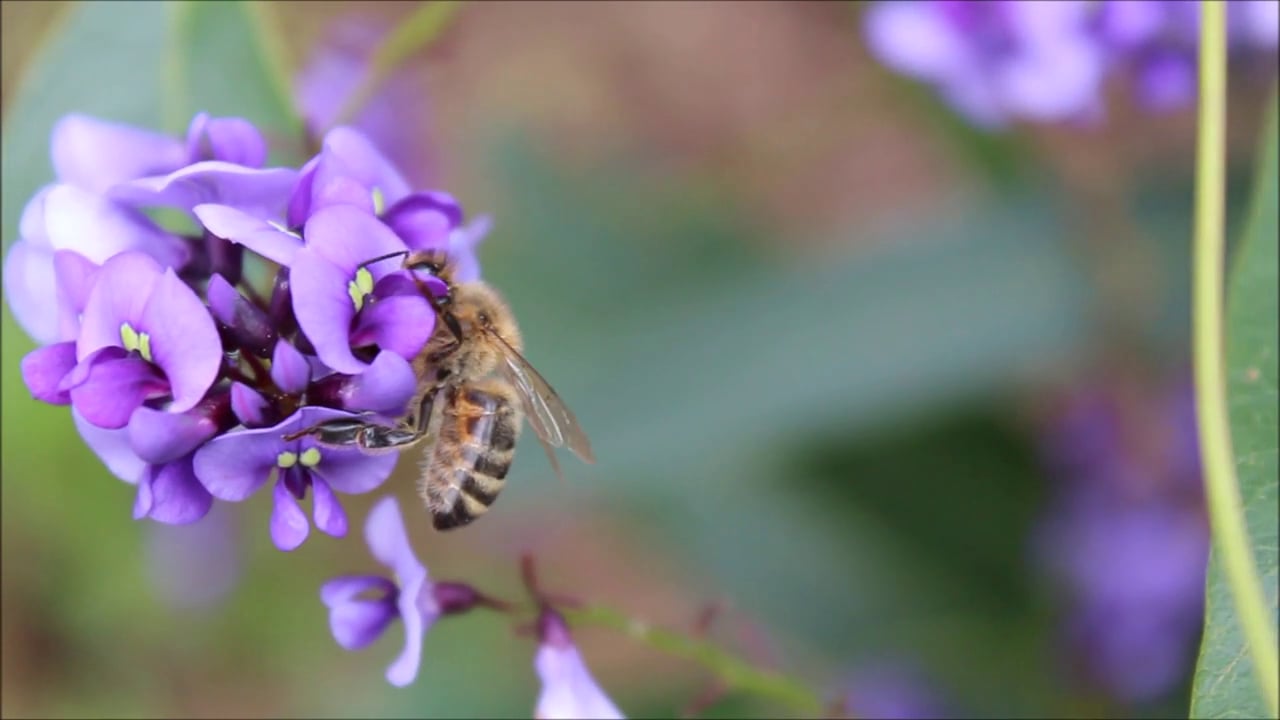 No Place Like Comb on Vimeo