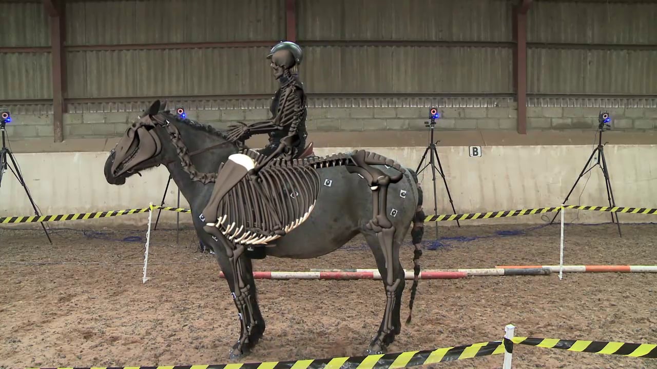 SIGGRAPH Vancouver 2014 Quadruped Motion Capture on Vimeo