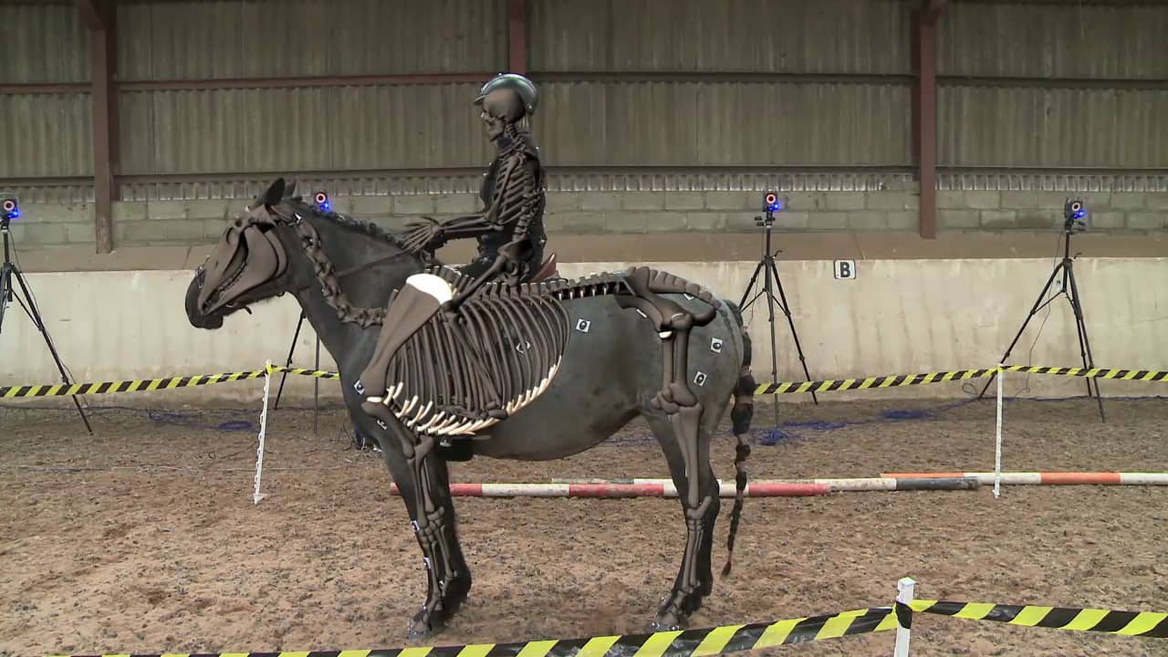 SIGGRAPH Vancouver 2014 Quadruped Motion Capture on Vimeo