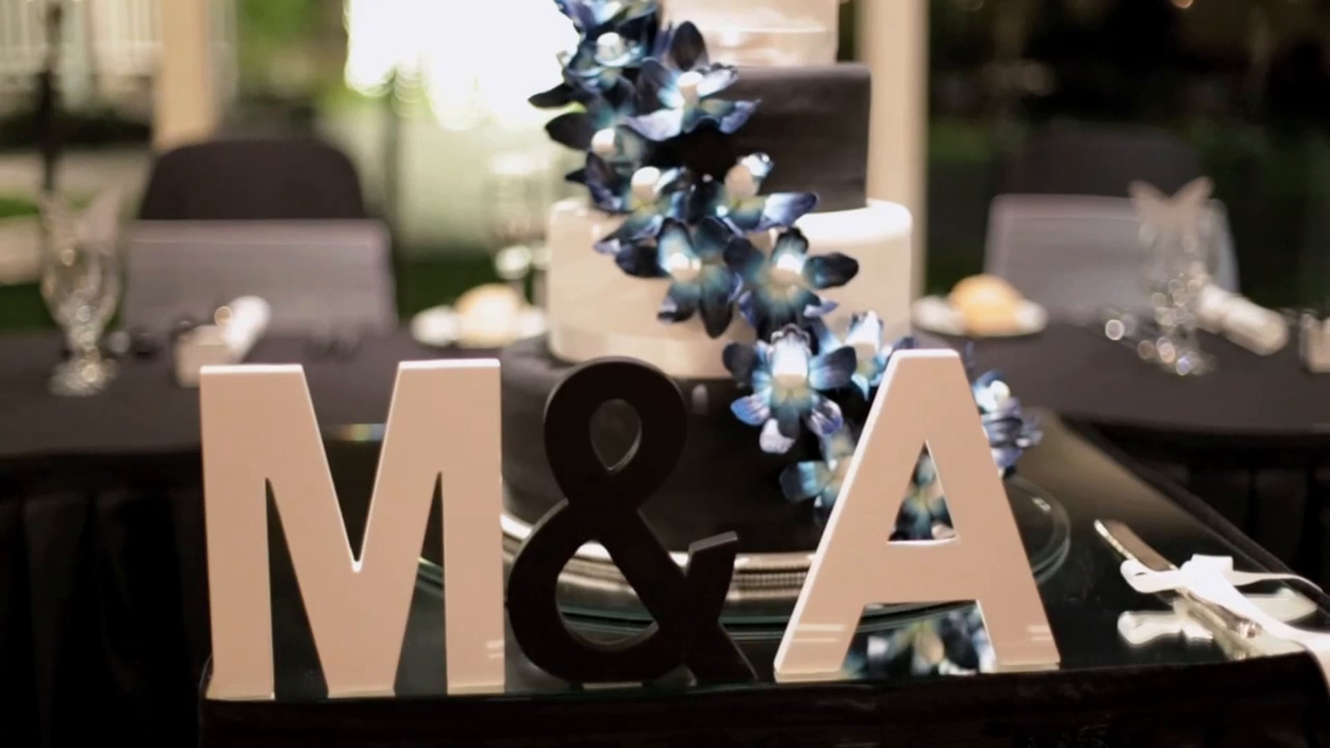 Michelle Arnold HighLights