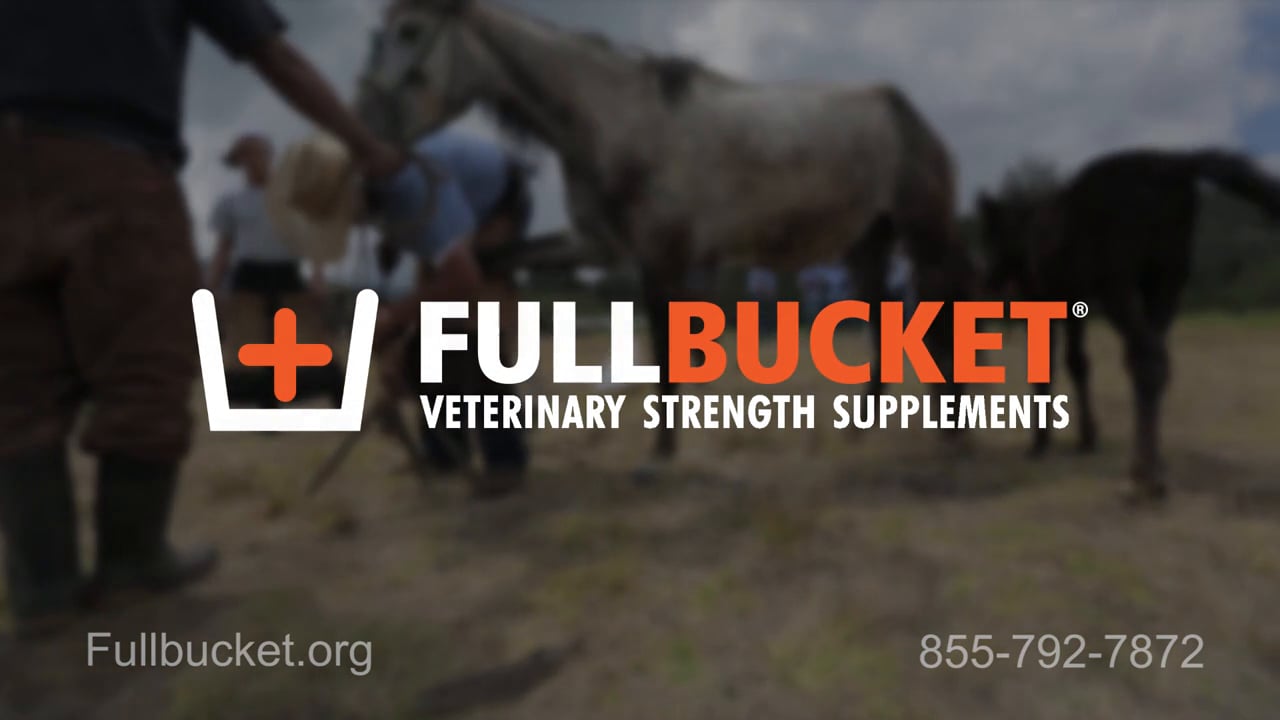 FullBucket Veterinary Strength Supplements