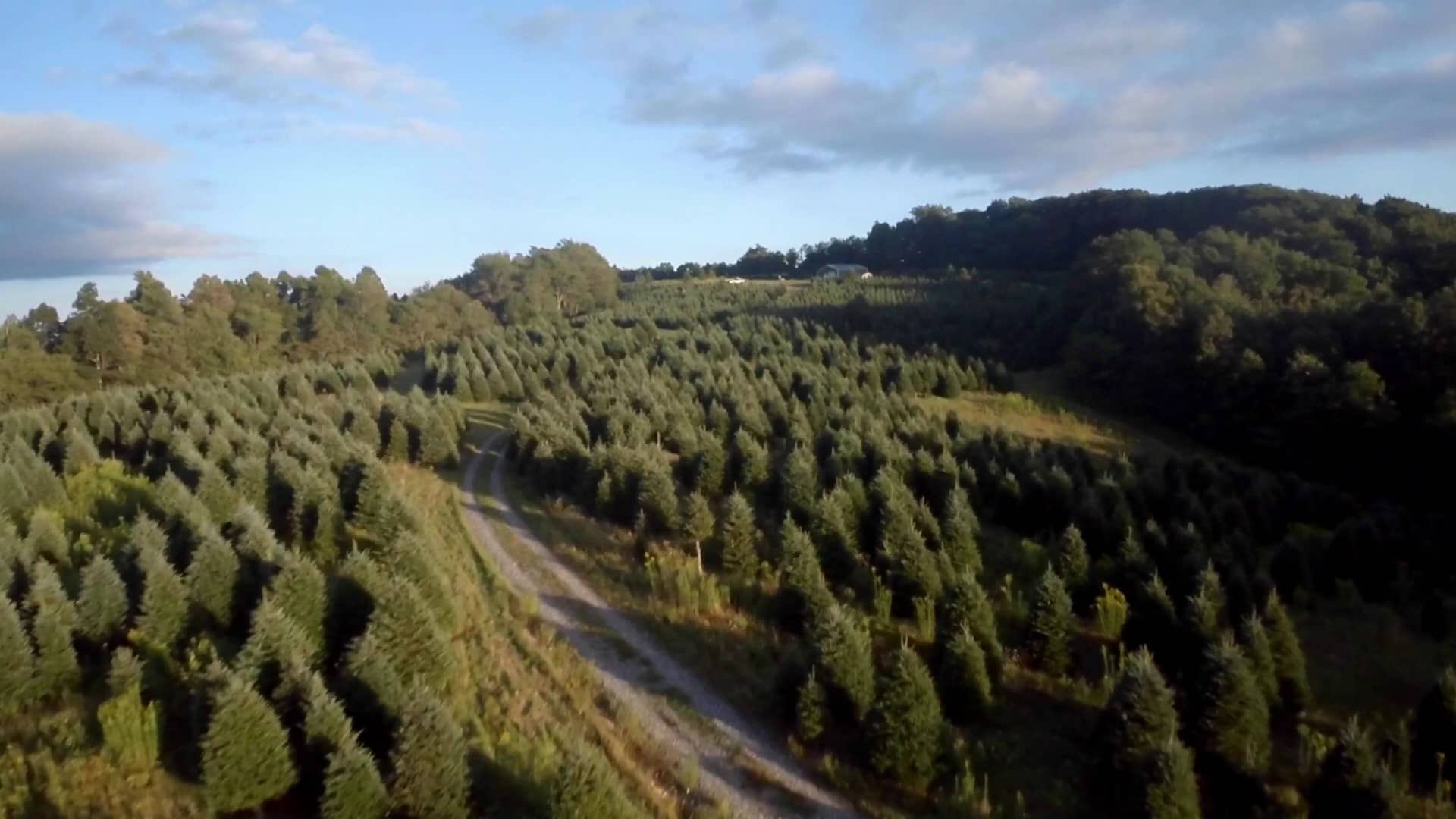 J & D Christmas Tree Farm Boone, NC on Vimeo
