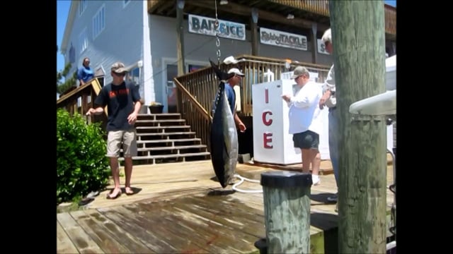 OFFSHORE FISHING BIGEYE TUNA AT POORMANS CANYON — Ocean City, Maryland