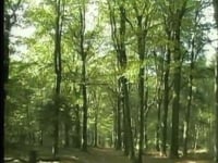 De teeltmethode