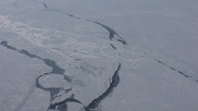 Measuring sea ice from space, the air and on the ground