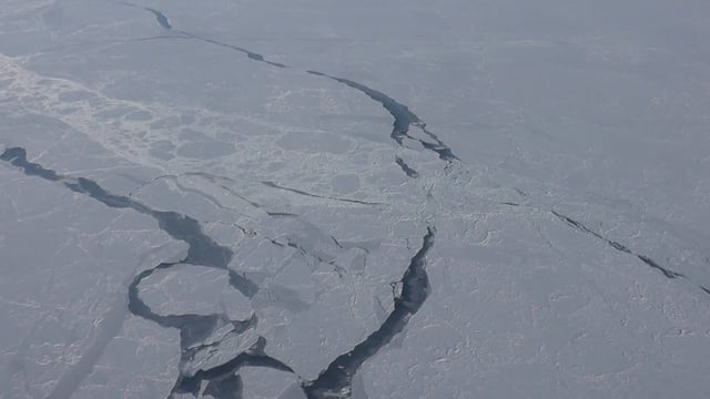 Measuring sea ice from space, the air and on the ground