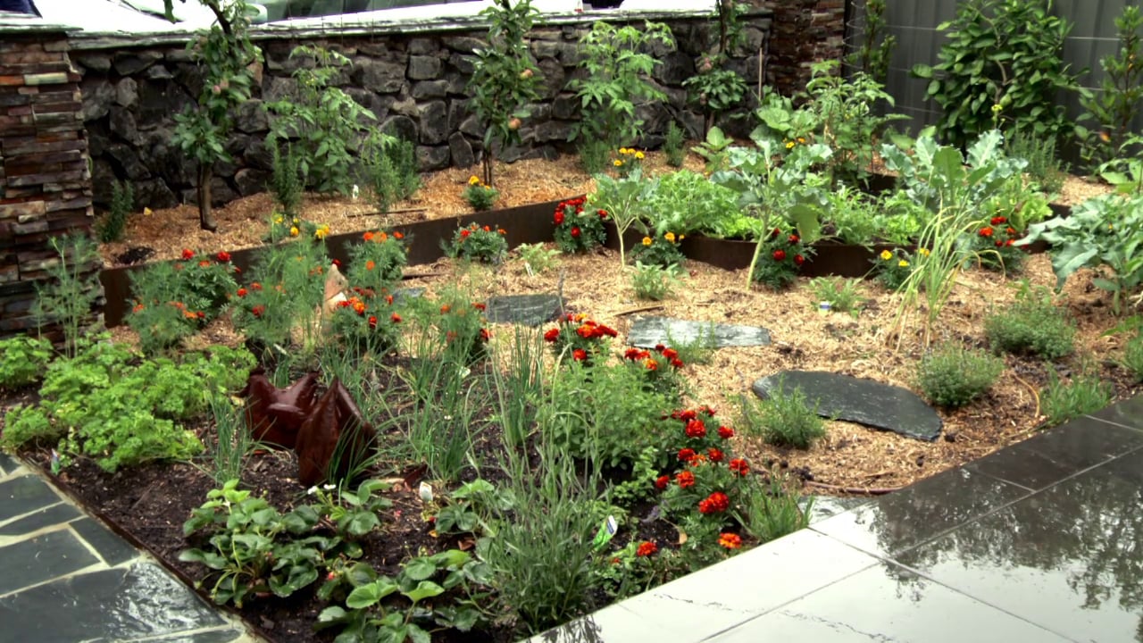 Designer landscaping with FormBoss Metal Garden Edging & Chef Master Classes & Q Gardens