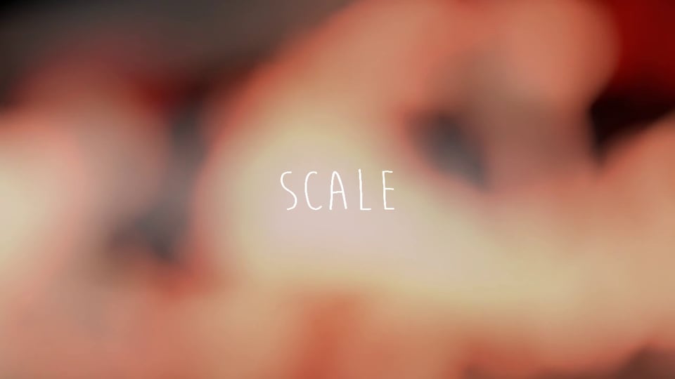 Scale