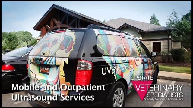 Mobile Ultra Sound for Vets V2