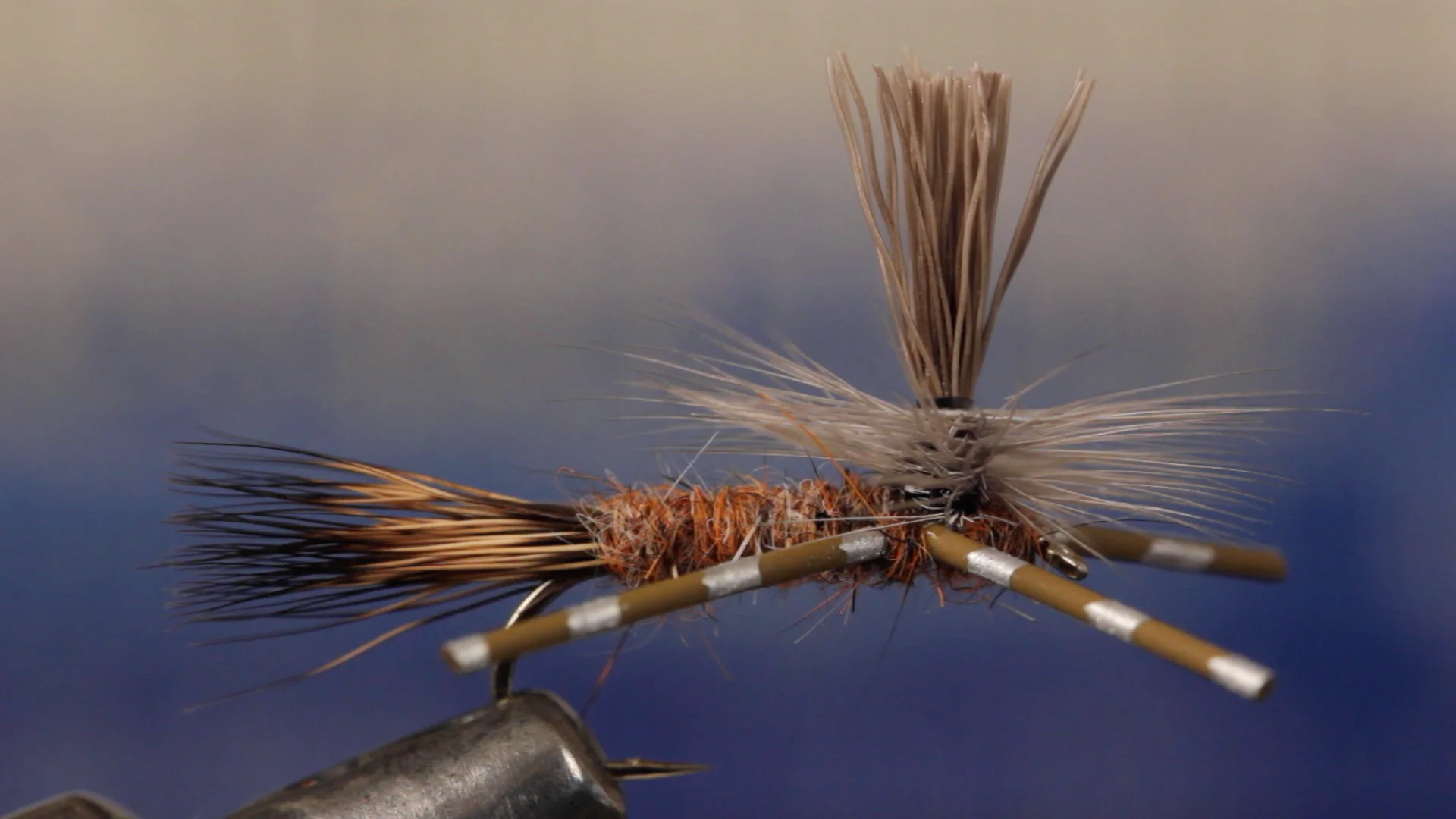 Iso Iso Baby - Image source: Orvis