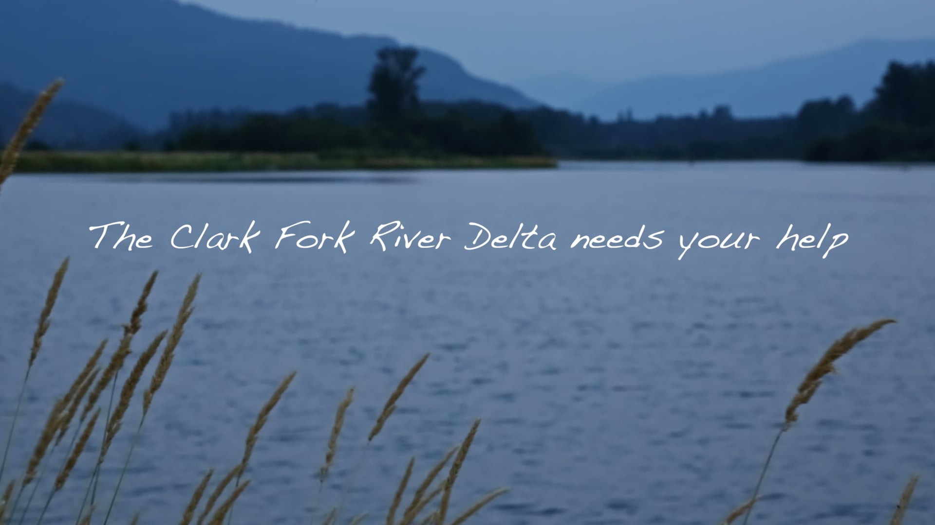 Idaho Conservation League The Clark Fork River Delta needs your help